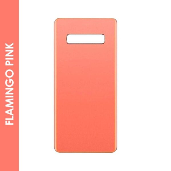 BACKDOOR COMPATIBLE FOR SAMSUNG GALAXY S10 PLUS (PINK)