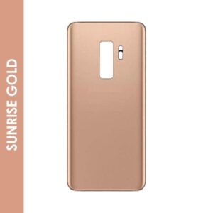 BACK DOOR WITH CAMERA LENS FOR SAMSUNG S9 PLUS (GOLD)